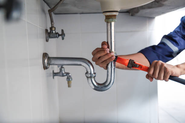 Best Residential Plumbing Services  in Seffner, FL
