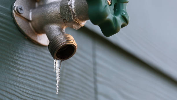 Best Shower Repair Services  in Seffner, FL