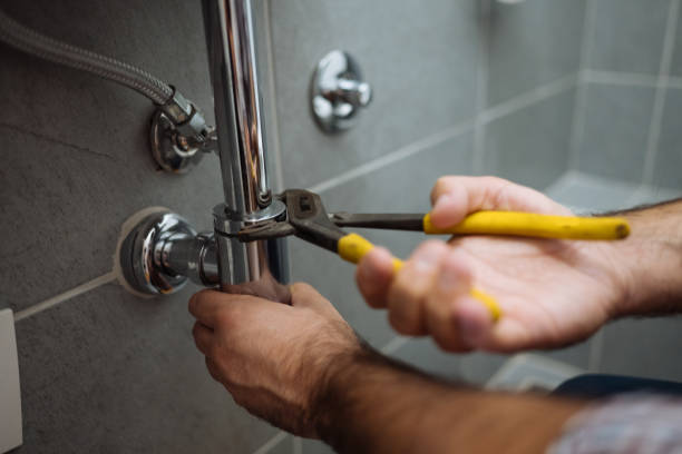 Best Local Plumber Services  in Seffner, FL
